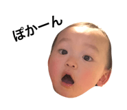 17724644