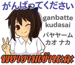 17728007