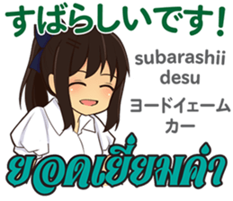 17728013