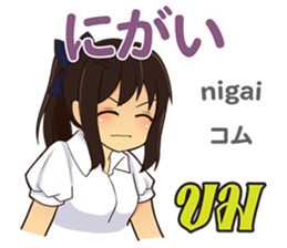 17728472