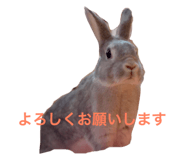 17734602