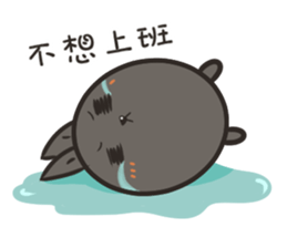 17736192