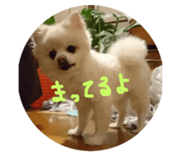177474152