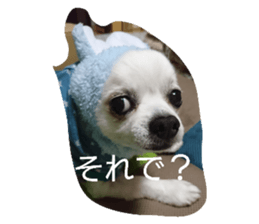 17750684