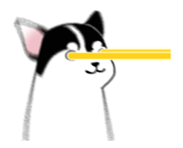 17752355