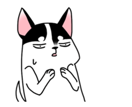 17752359