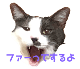 177538930