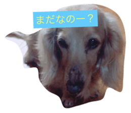 17754803