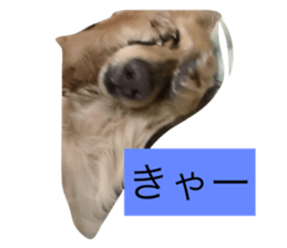 17754811