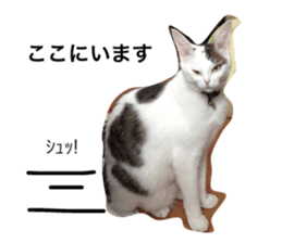 17771608