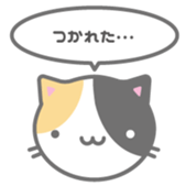 177735304