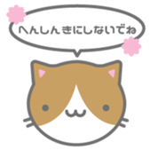 177735325
