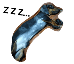 177746529