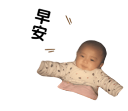 177753038