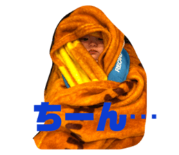 177754940