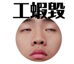 177793977