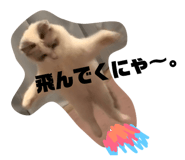 177806742