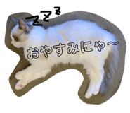 177806746