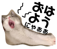 177806753