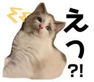 177806754