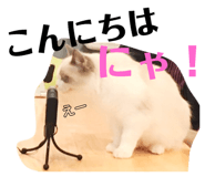 177806759