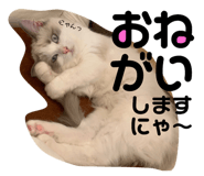 177806763