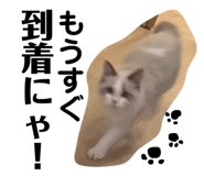 177806765