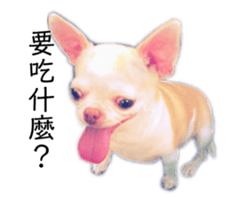177830105