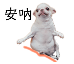 177830107