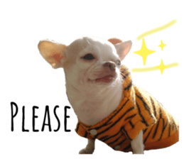 177830108