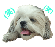 177851108