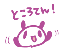 17791162