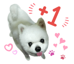 178012139