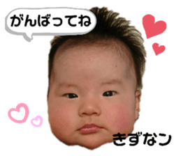 178037371