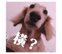 178037761