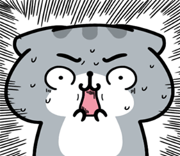 178050277