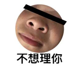 178077209