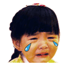 178120509