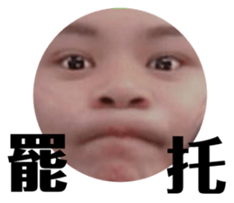 178202023