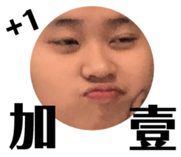 178202028