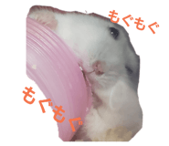 178217534