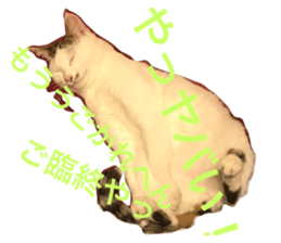 178300114