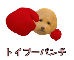 178308926
