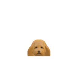 178308945