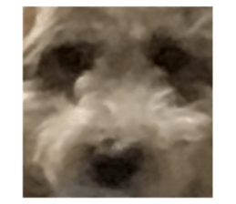 178310872