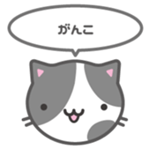 178330808