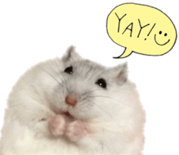 17834228