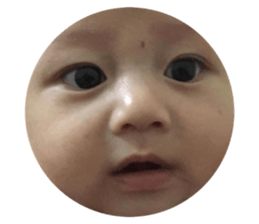 178347274