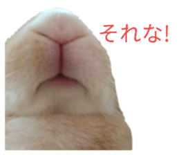 178436018