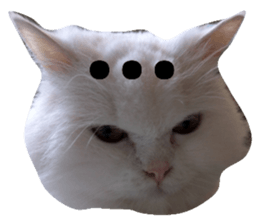 178436253